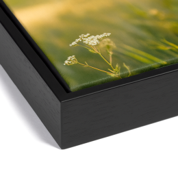 Float frame canvas with black frame corner detail