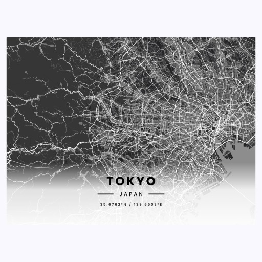 Tokyo in Dark Poster - Street Map 1