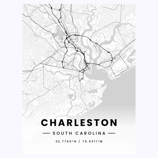 Charleston in Light Poster - Street Map 1
