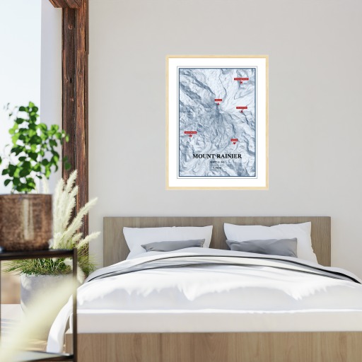 Trip To Mount Rainier Poster - Terrain Map 5