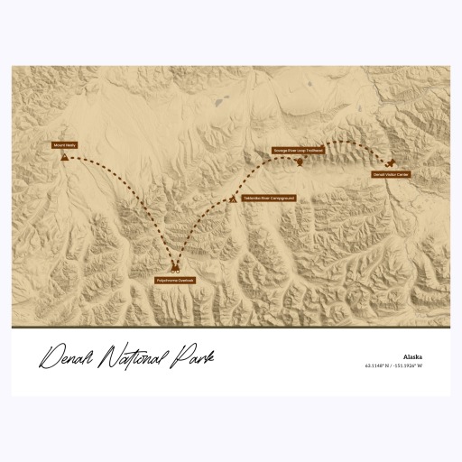 Our Trip to Denali National Park Poster - Topo Map 1