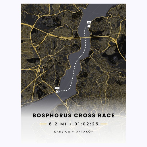 Bosphorus Cross Continental Swim Race - Route Map 1