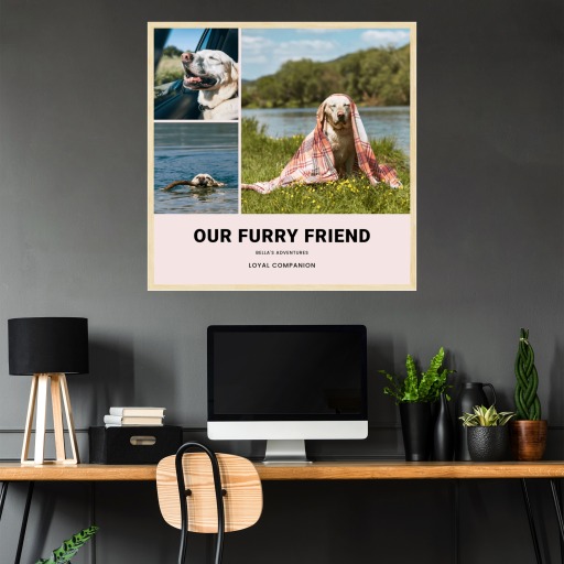 Our Dog Adventures Poster - Photo Collage Print 4