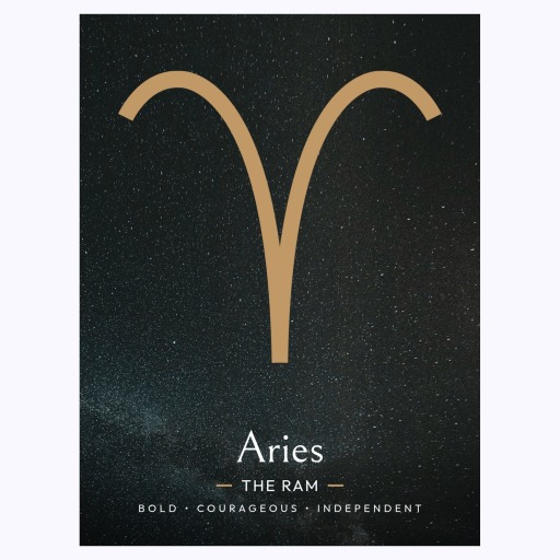 Aries in Simple Sharp Print - Custom Zodiac Sign Poster 6