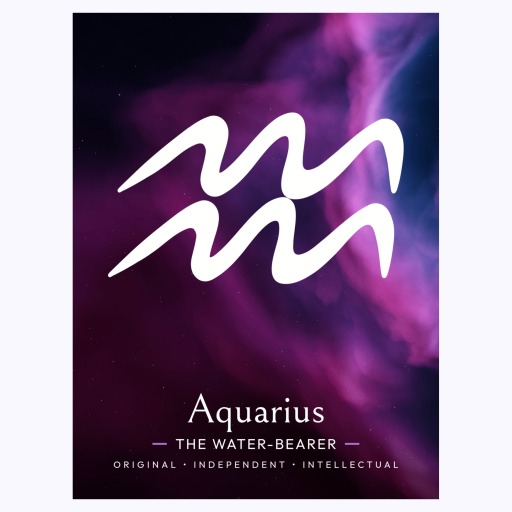 Aquarius in Curvy Print - Custom Zodiac Sign Poster 6