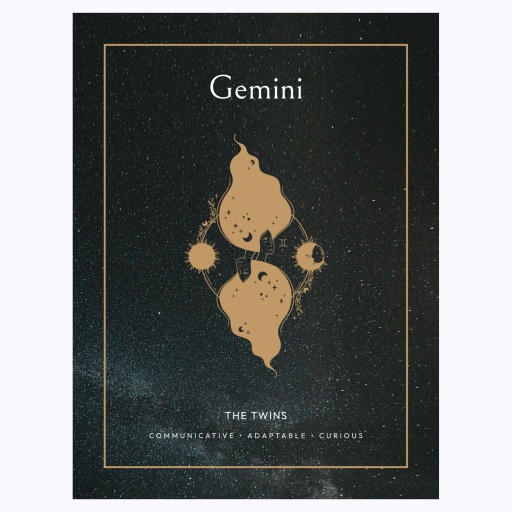 Gemini in Block Print - Custom Zodiac Sign Poster 6