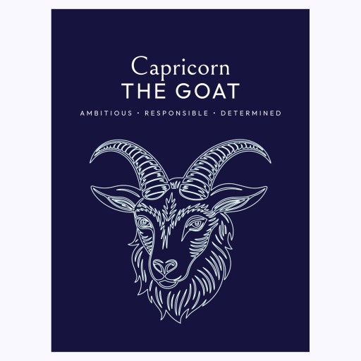Capricorn in Fine Line Print - Custom Zodiac Sign Poster 6