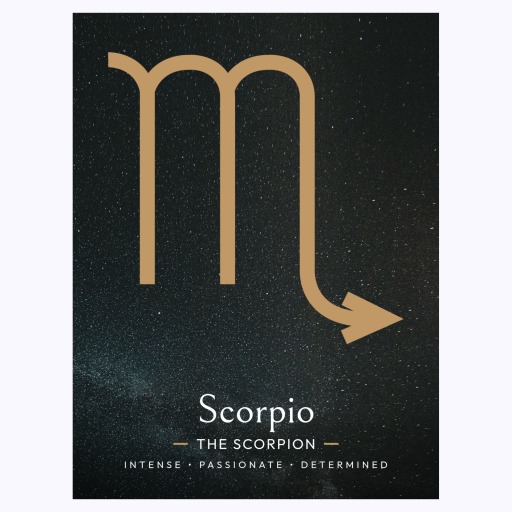 Scorpio in Simple Sharp Print - Custom Zodiac Sign Poster 6