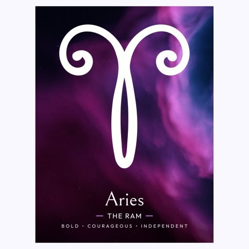 Aries in Curvy Print - Custom Zodiac Sign Poster 6