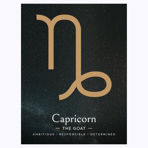 Capricorn in Simple Sharp Print - Custom Zodiac Sign Poster 6