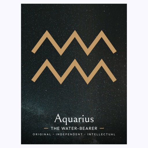 Aquarius in Simple Sharp Print - Custom Zodiac Sign Poster 6