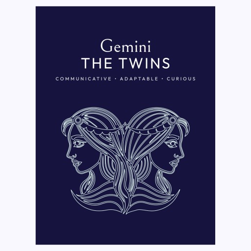 Gemini in Fine Line Print - Custom Zodiac Sign Poster 6