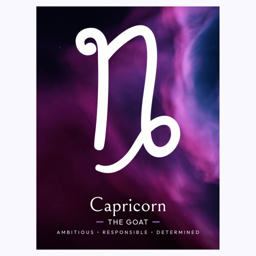 Capricorn in Curvy Print - Custom Zodiac Sign Poster 6