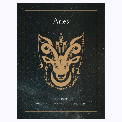 Aries in Block Print - Custom Zodiac Sign Poster 6