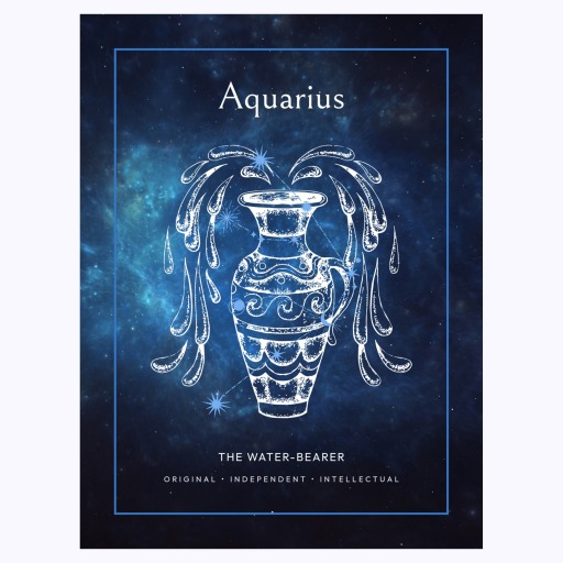 Aquarius in Embellished Outline Print - Custom Zodiac Sign Poster 6