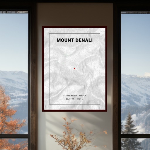 Mount Denali Poster - Topo Map 11