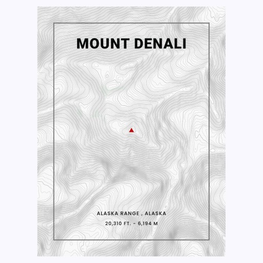 Mount Denali Poster - Topo Map 6