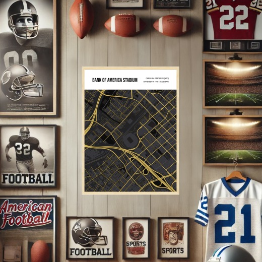 Carolina Panthers Stadium Poster - Street Map 2