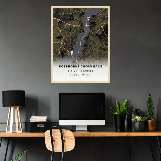 Bosphorus Cross Continental Swim Race - Route Map 2